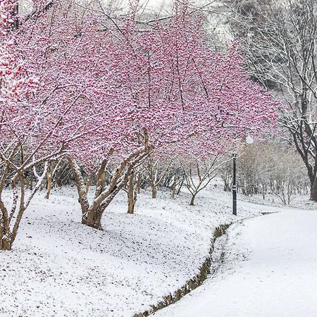 Parkavenue Guesthouse Seoul Luaran gambar
