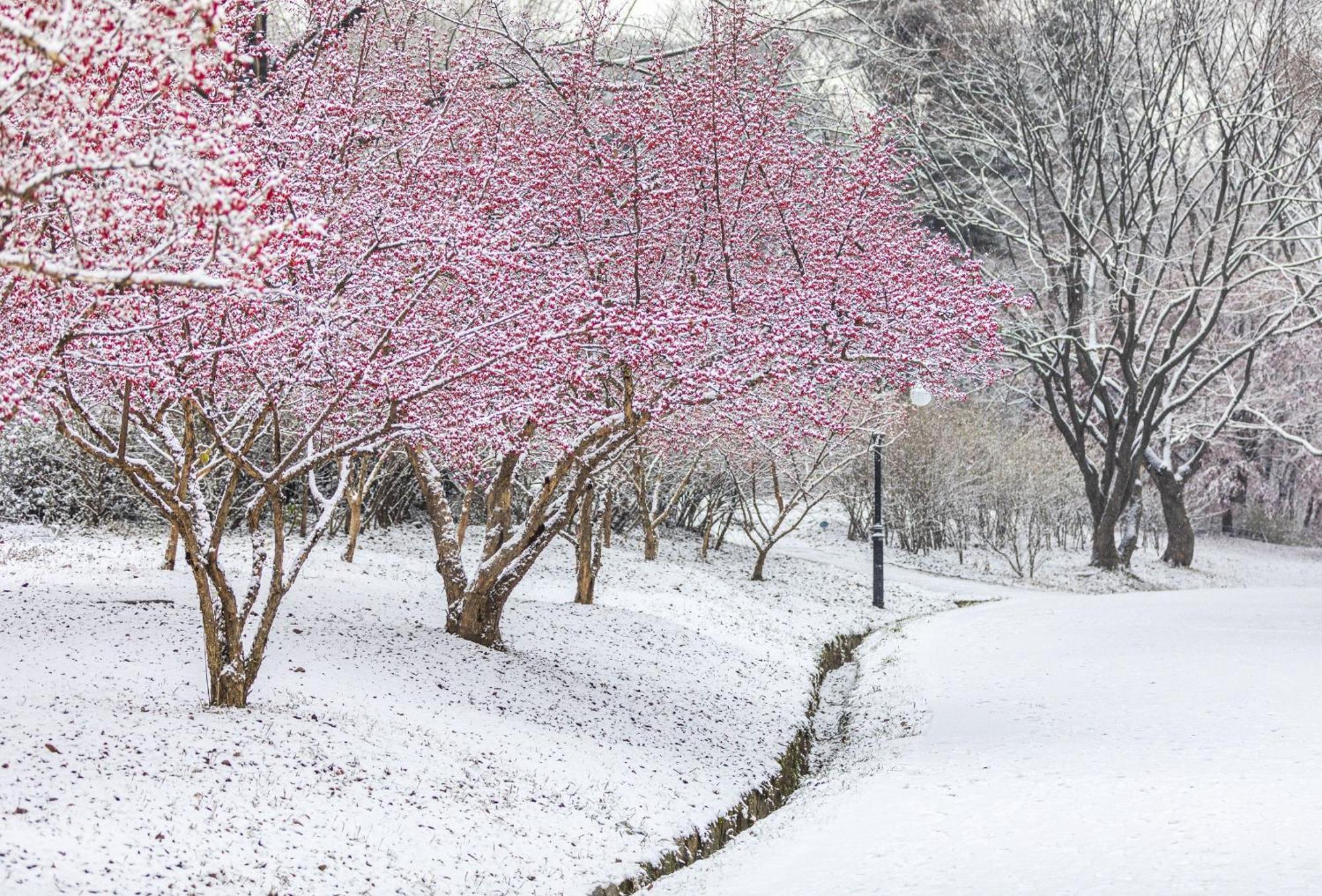 Parkavenue Guesthouse Seoul Luaran gambar